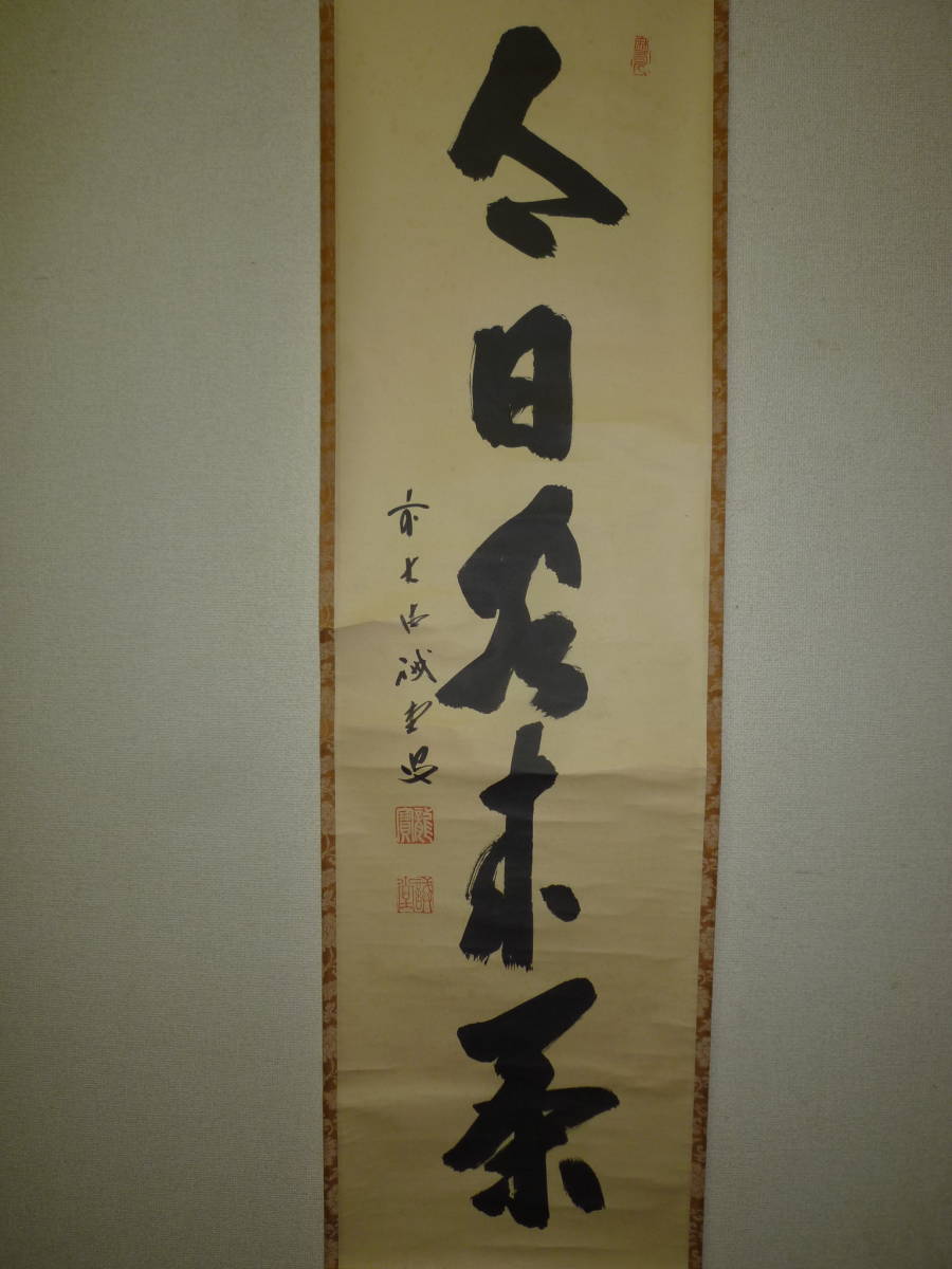 藤井誠堂「白雲自去来」茶掛一行書 掛軸 大徳寺515世管長 三玄院住職