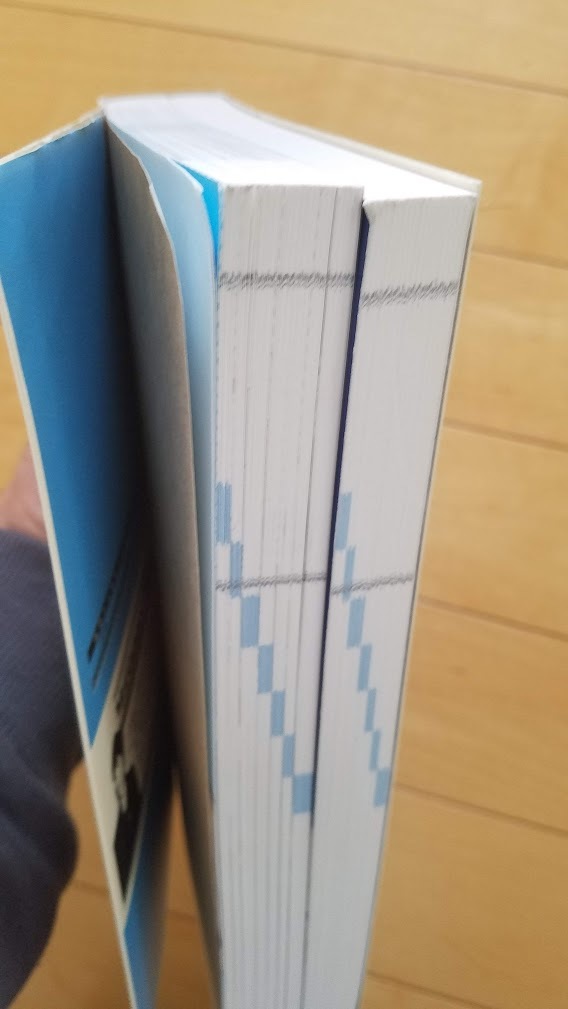 【送料無料】ヒストリア HISTORIA 世界史精選問題集 平尾雅規_2