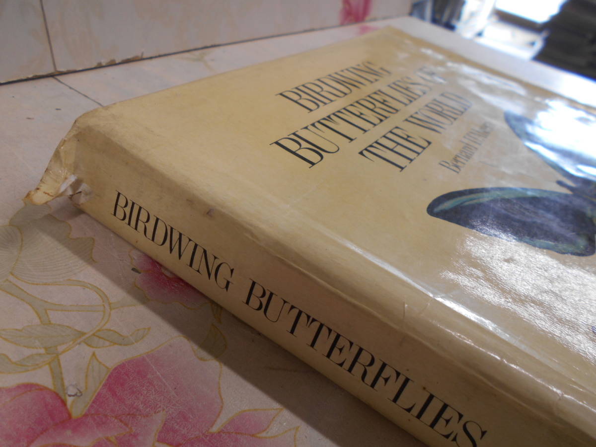 C☆/蝶の洋書/Birdwing Butterflies of the World ハードカバー 英語版 