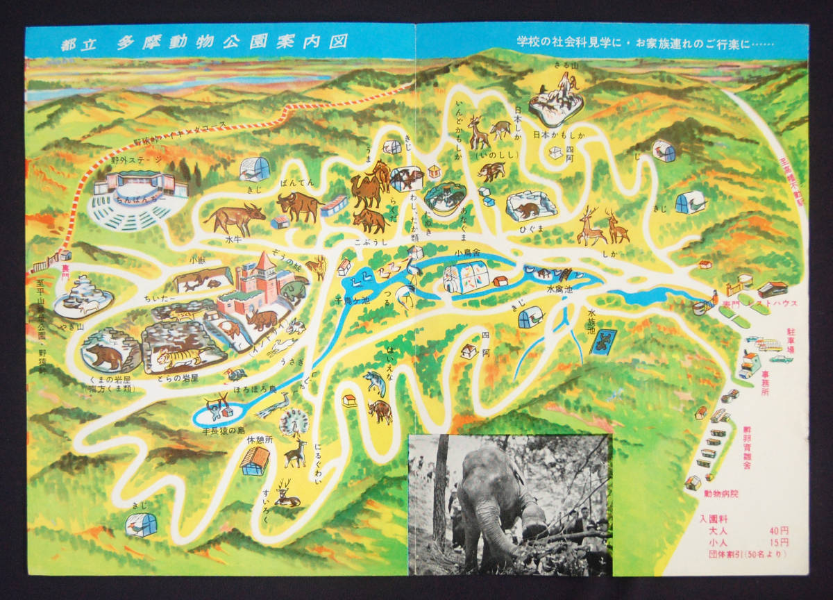 観光案内 多摩動物公園 京王帝都鉄道 鳥瞰図 写真 旅行案内 パンフレット 動物園 昭和レトロ 東京 日野 郷土資料 印刷物 売買されたオークション情報 Yahooの商品情報をアーカイブ公開 オークファン Aucfan Com