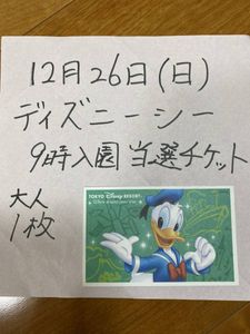 爆安プライス ８月１６日まで限定価格 ディズニースポンサーパスポート 新しい到着 Woodcall Com