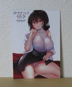 ストラテジックラバーズ　１巻　とらのあな　特典　小冊子　リーフレット　三色網戸。