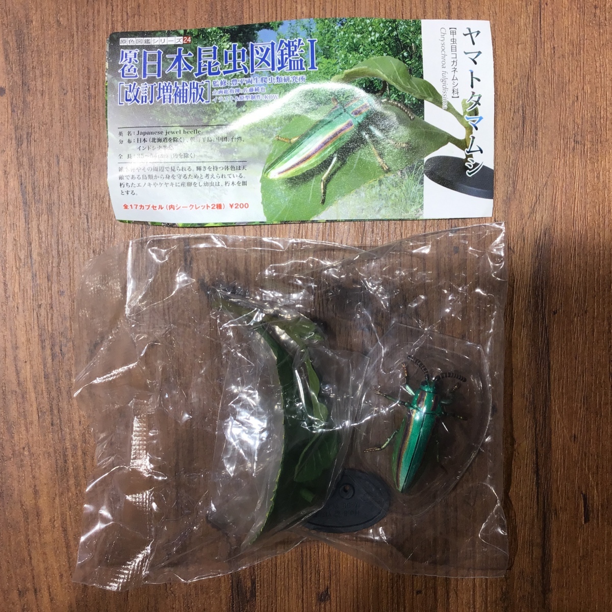 YUJIN 原色図鑑シリーズ15 原色日本昆虫図鑑Ⅰ 全12種