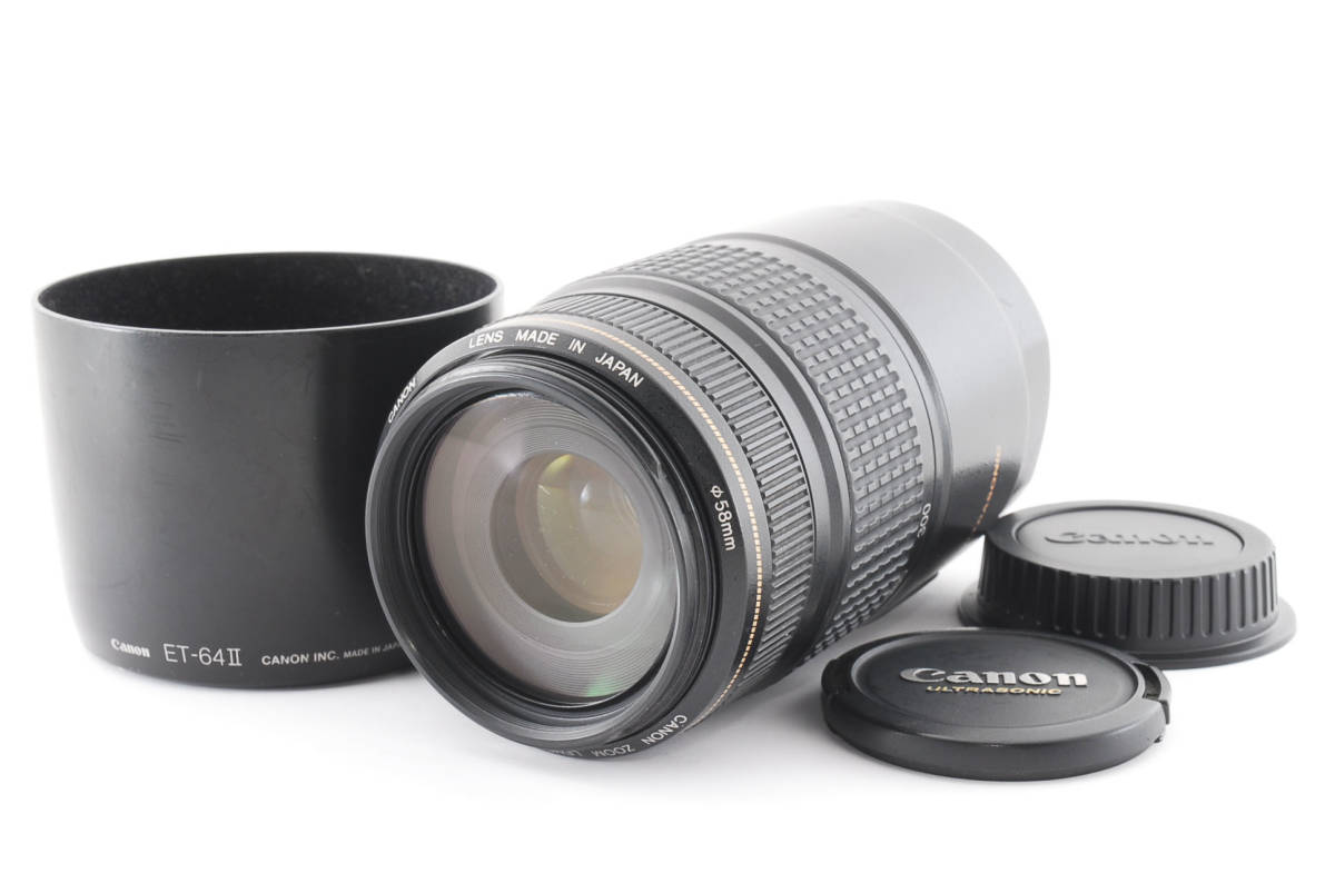 キャノン Canon EF 75-300mm F4-5.6 IS USM レンズ #878144 EF 75