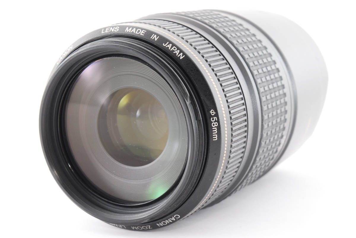キャノン Canon EF 75-300mm F4-5.6 IS USM レンズ #878144 EF 75