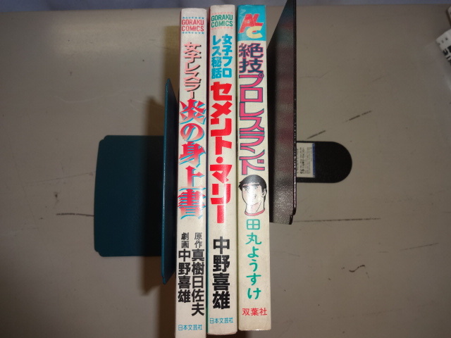 女子レスラー　炎の身上書　中野喜雄　真樹日佐夫 激レア良品・初版】女子レスラー 炎の身上書 全1巻 中野喜雄 真樹日佐