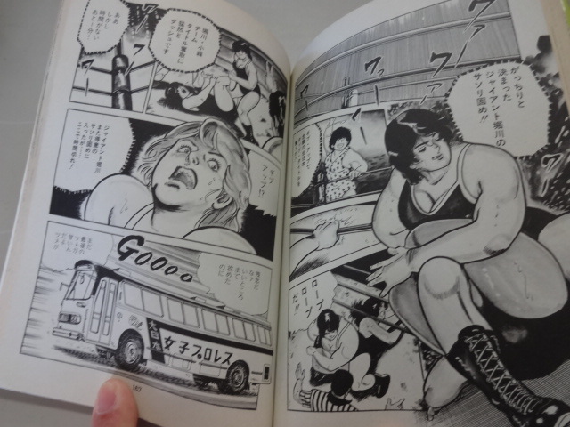 女子プロレスマンガ 3冊セット 女子レスラー炎の身上書 セメント