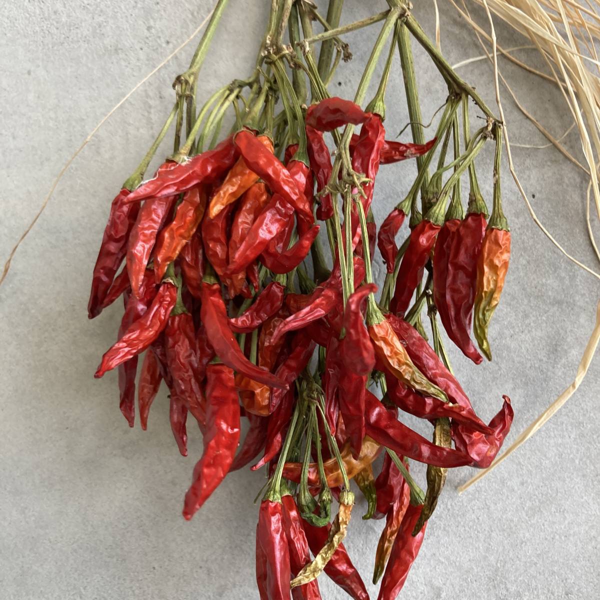 トウガラシのスワッグ 唐辛子 花束 ナチュラル ボタニカル ブルックリン 壁飾り 花材 花束 売買されたオークション情報 Yahooの商品情報をアーカイブ公開 オークファン Aucfan Com