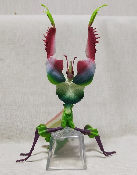 美品☆一番くじ昆虫 A賞 ニセハナマオウカマキリ フィギュア(生き物
