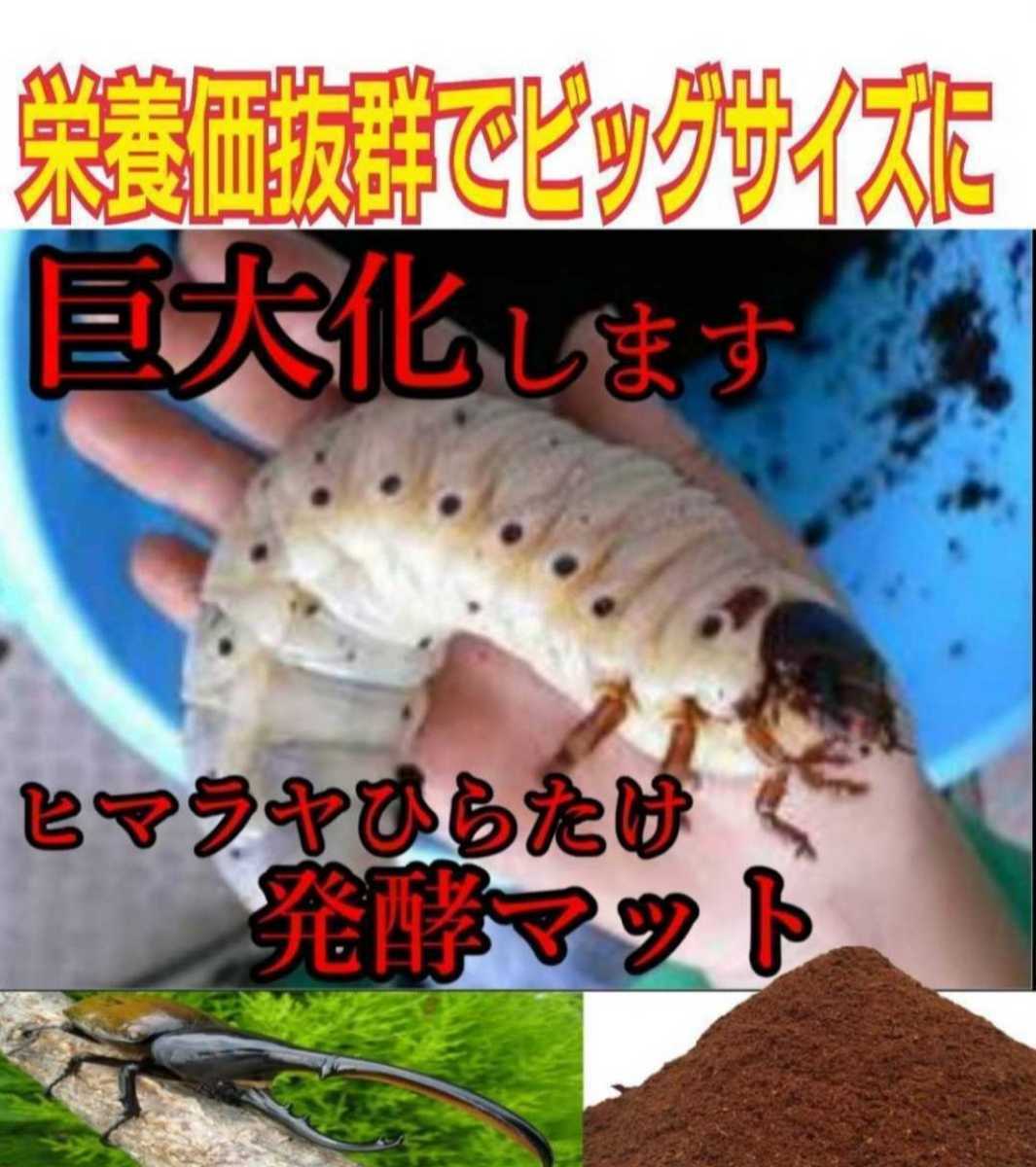 カブトムシ幼虫の餌、産卵にはコレです！改良版！発酵マット50L大きく