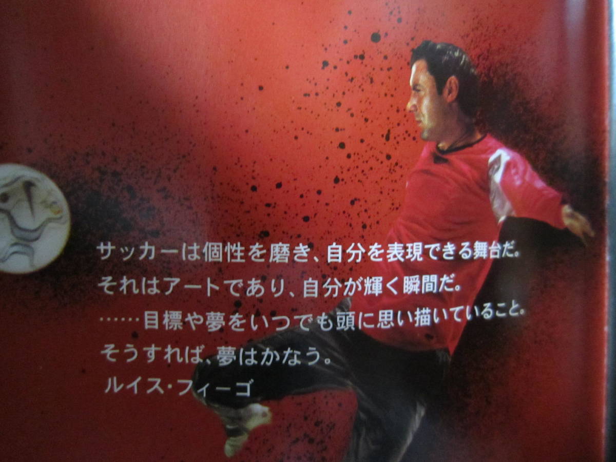 ジャンク 2002 日韓 中田英寿 ナイキ NIKE 「自分開放」 ミニボール