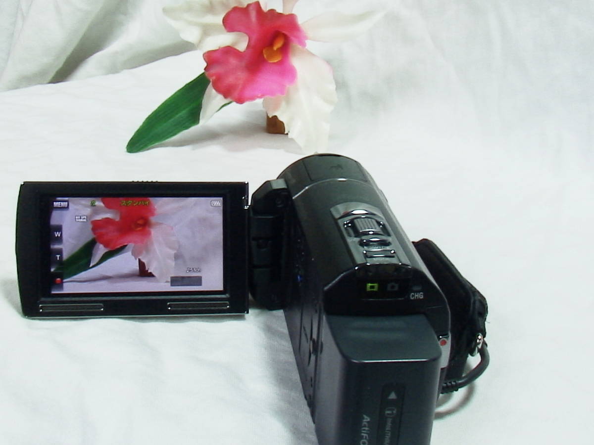 SONYプロジェクター付きハイビジョンカメラHDR-PJ590V(動作品) SONY 