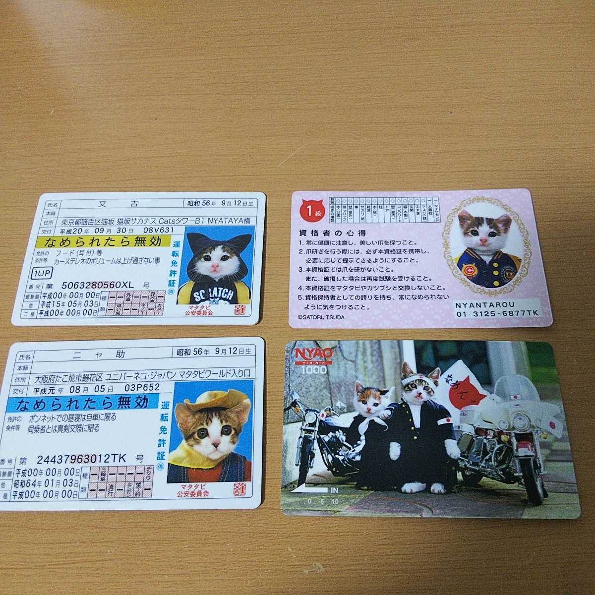 なめ猫 なめんなよ 免許証 コレクション 昔懐かしいなめんなよ なめ猫 