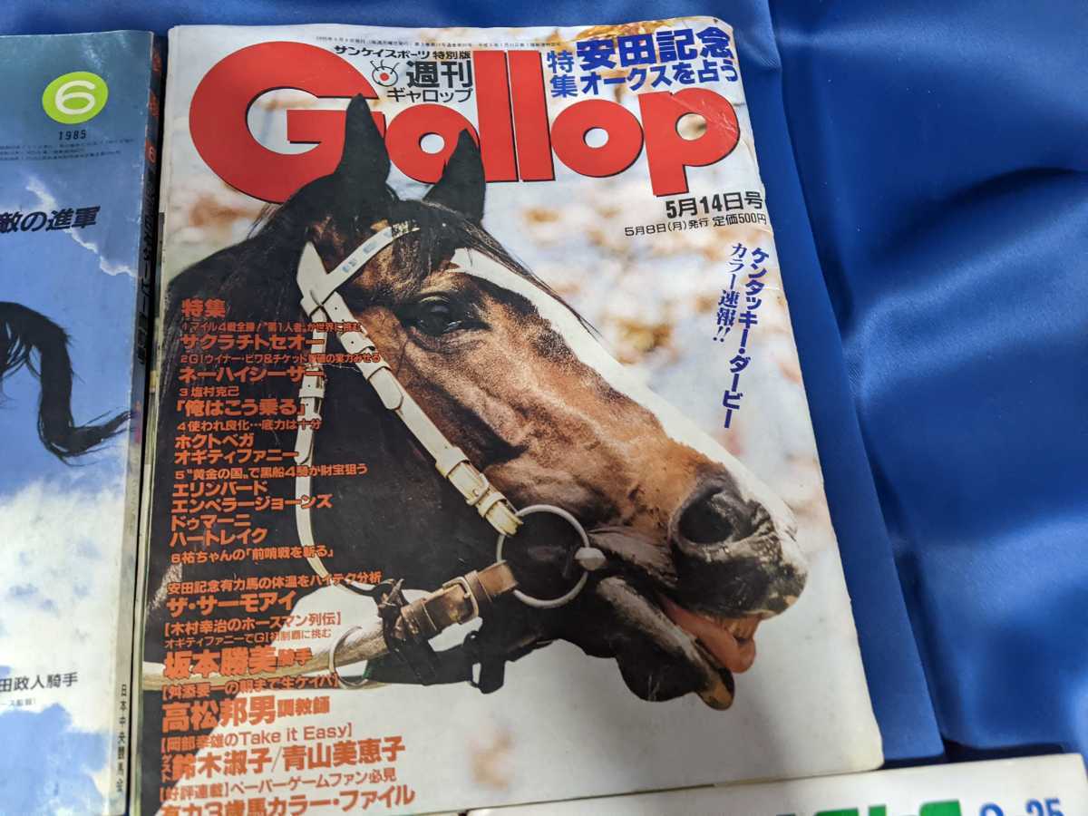 週刊ギャロップ 1996年 全巻 遅く 