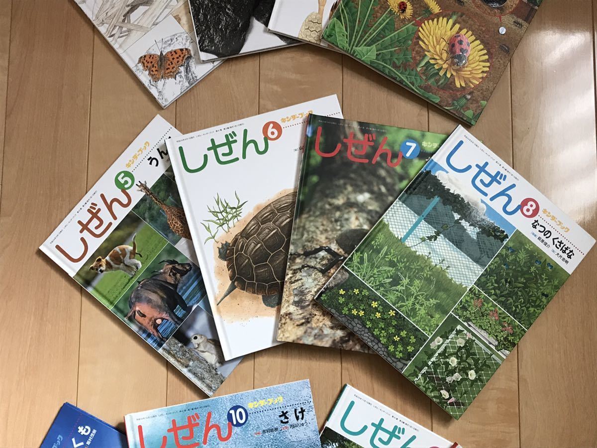☆送料無料☆しぜん 12冊セット キンダーブック フレーベル館 (知育