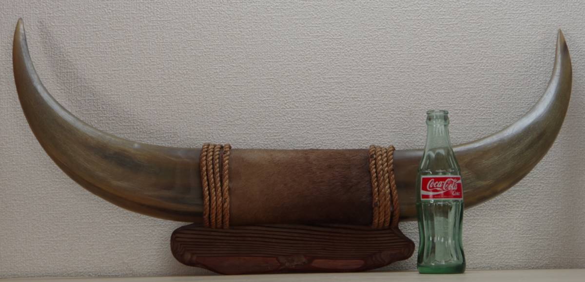 オブジェ 壁掛け バッファローホーン 壁飾り 壁掛けの中古品・新品 