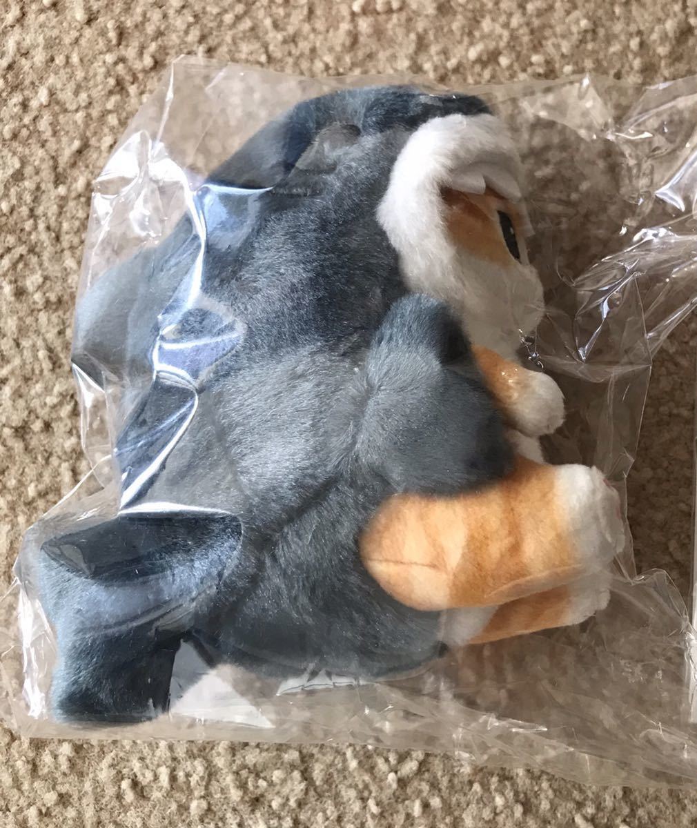 定番，SALE mofusand ぢゅの サメにゃん マスコット もふもふマーケット 購入(キャラクター)｜売買されたオークション情報、yahooの商品情報をアーカイブ公開 - オークファン その他
