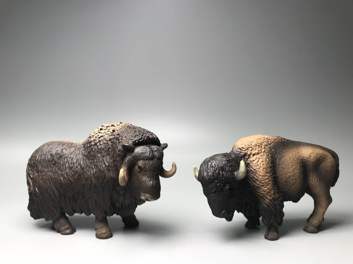2 Dw1 Dw055 アメリカバイソン シュライヒ パポ コレクタ サファリ ケレンケン フィギュア 模型 恐竜 動物 2点 定形外510 60サイズ 生き物 売買されたオークション情報 Yahooの商品情報をアーカイブ公開 オークファン Aucfan Com