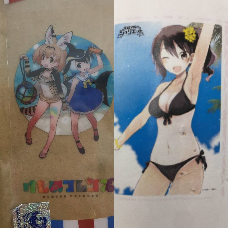 バンドリタペストリーまとめ売り12本