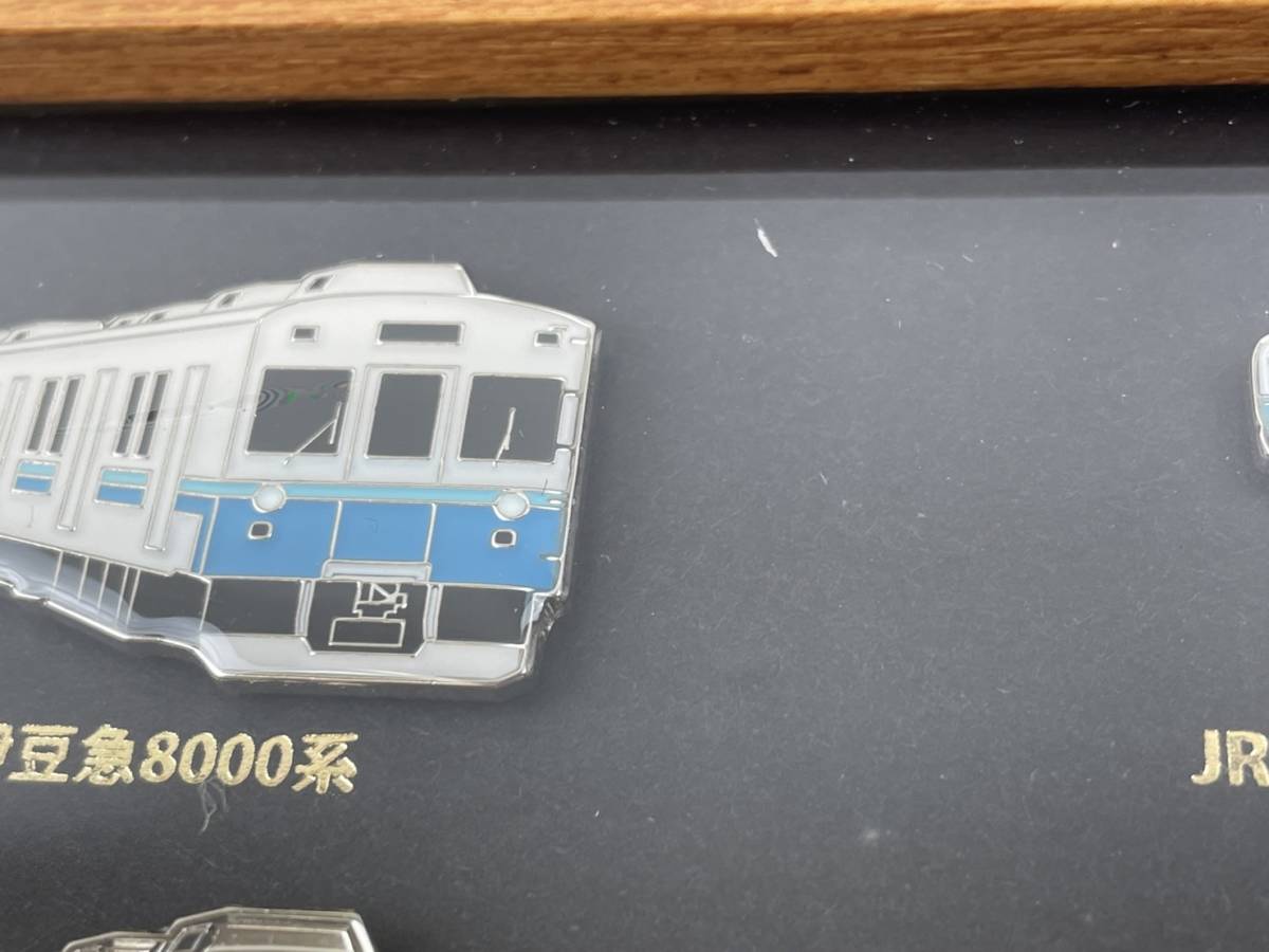 T3/6☆良品/記念品☆第17回 伊豆急行 伊豆急全線ウォーク完歩記念 額 