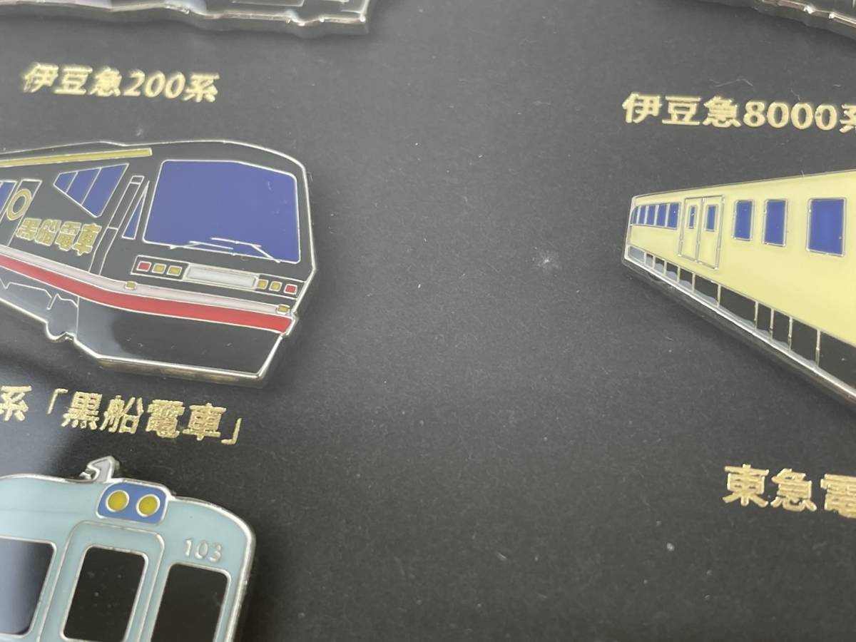 T3/6☆良品/記念品☆第17回 伊豆急行 伊豆急全線ウォーク完歩記念 額