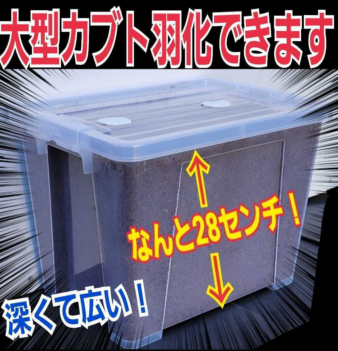 20Lケース付き【2セット】カブトムシ幼虫を入れるだけ！特選プレミアム