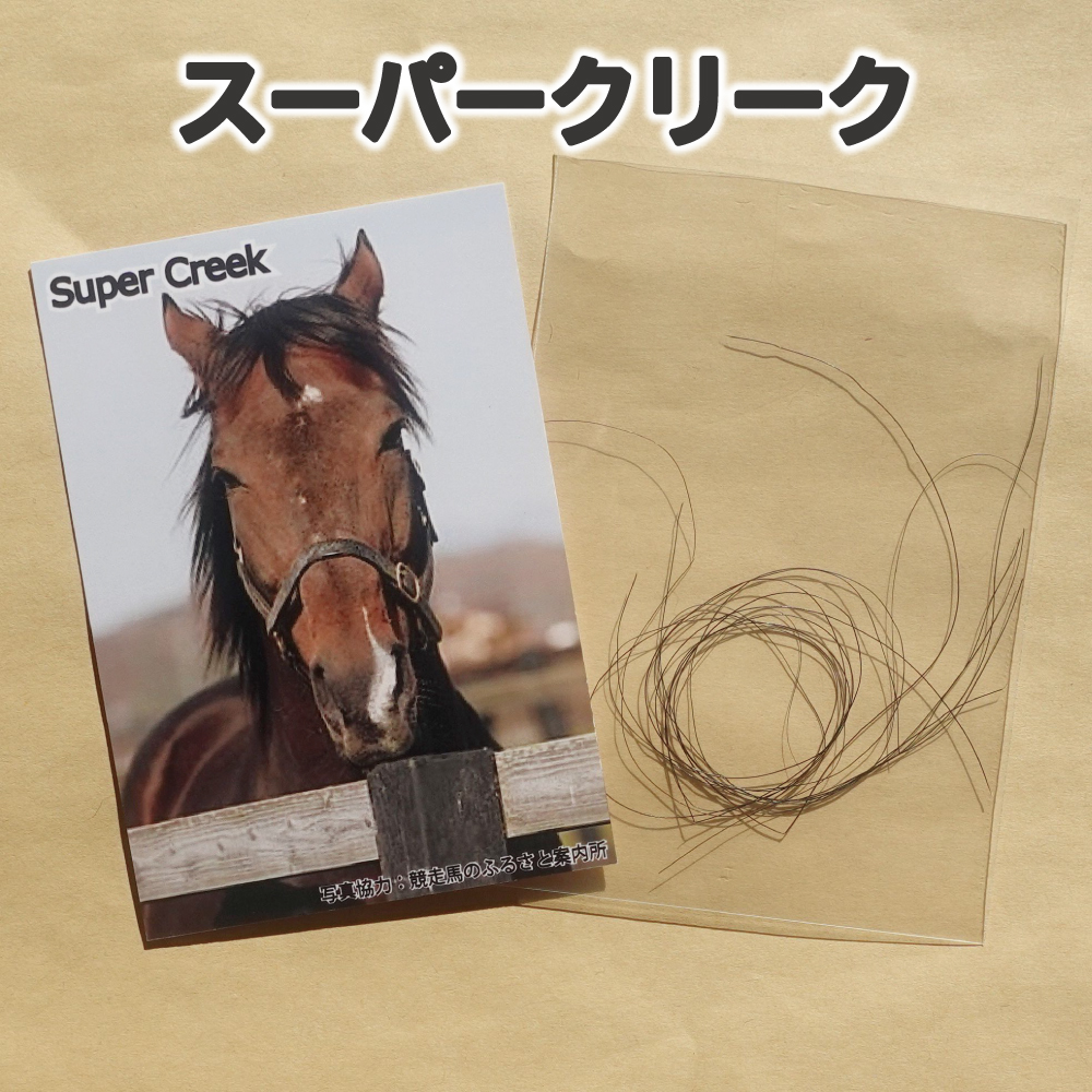 功労馬チャリティー スーパークリークのたてがみ GI3勝/平成三強(競馬
