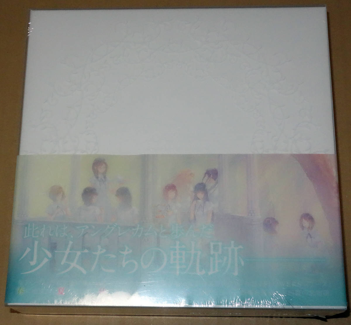 Flowers Art Works Couleur 未開封 /Innocent Grey 杉菜水姫