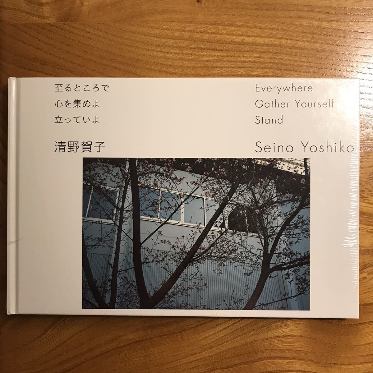 清野賀子 至るところで心を集めよ 立っていよ(アート写真)｜売買された