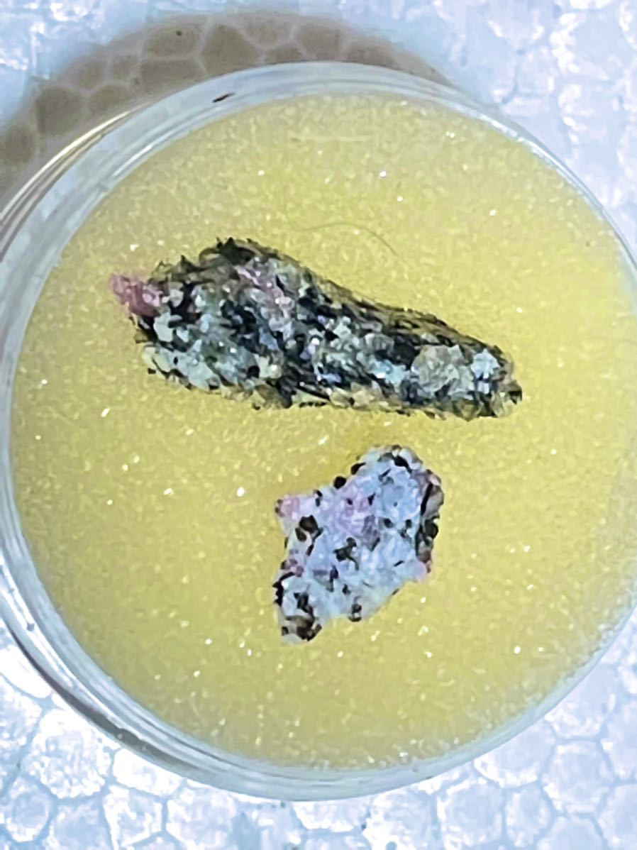 片麻岩 南極の石 - 公式通販 ルビー JEWELRY 地球の奇跡・変成岩起源の