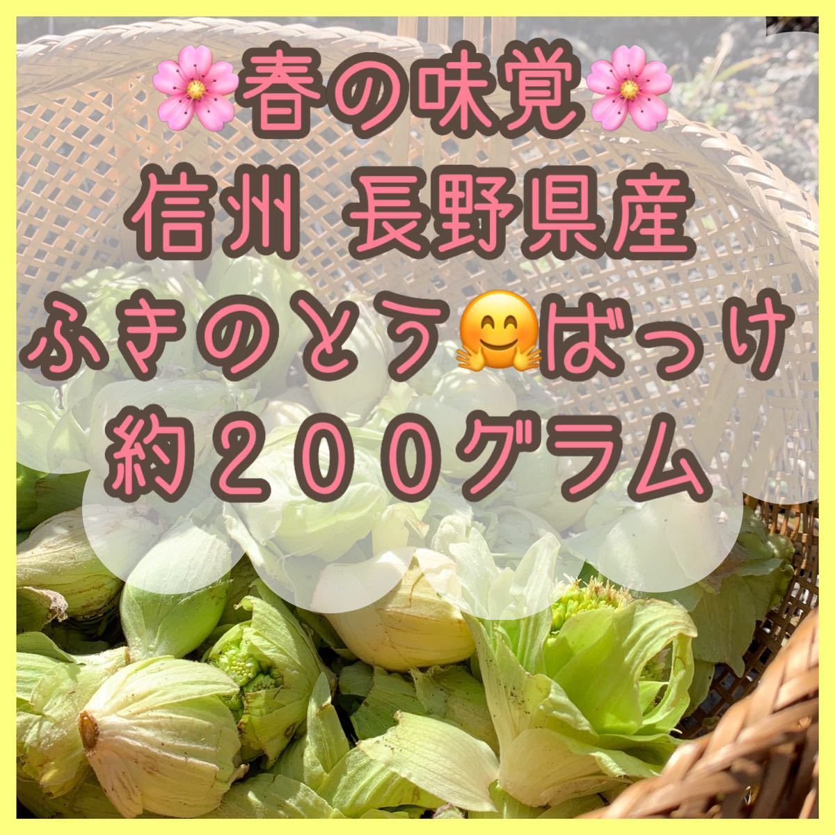 春の味覚 信州産 天然 フキノトウ 約0g ふきのとう 山菜 ばっけ ふきみそ 天ぷら 長野県産 お裾分け 山菜 新鮮 朝採れ 野菜 山菜 売買されたオークション情報 Yahooの商品情報をアーカイブ公開 オークファン Aucfan Com