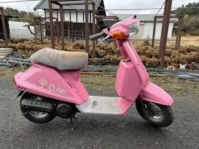 キュート 実働 書付 JOG DIO スーパーカブ パセッタ パッソーラ 