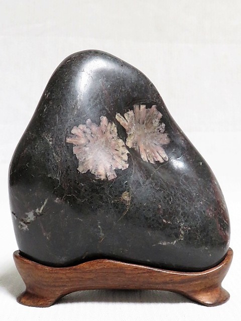 菊花石 鑑賞石 天然石 盆石 水石 観賞石 置物 飾石 岐阜県根尾谷