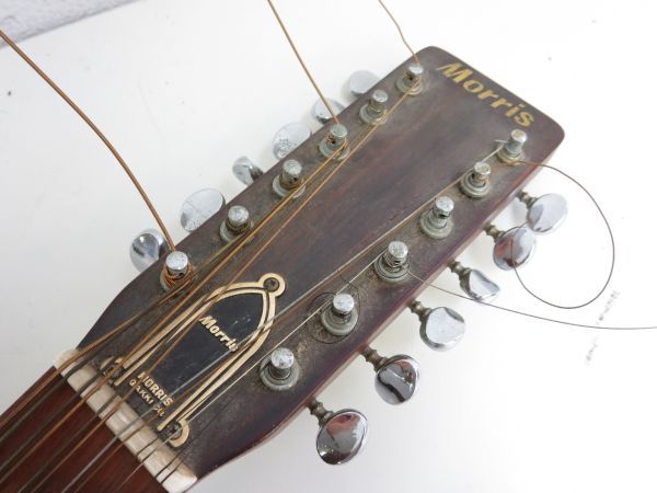 Morris | W-25 ⁄ - アコースティックギター⁄アコギ D-plus