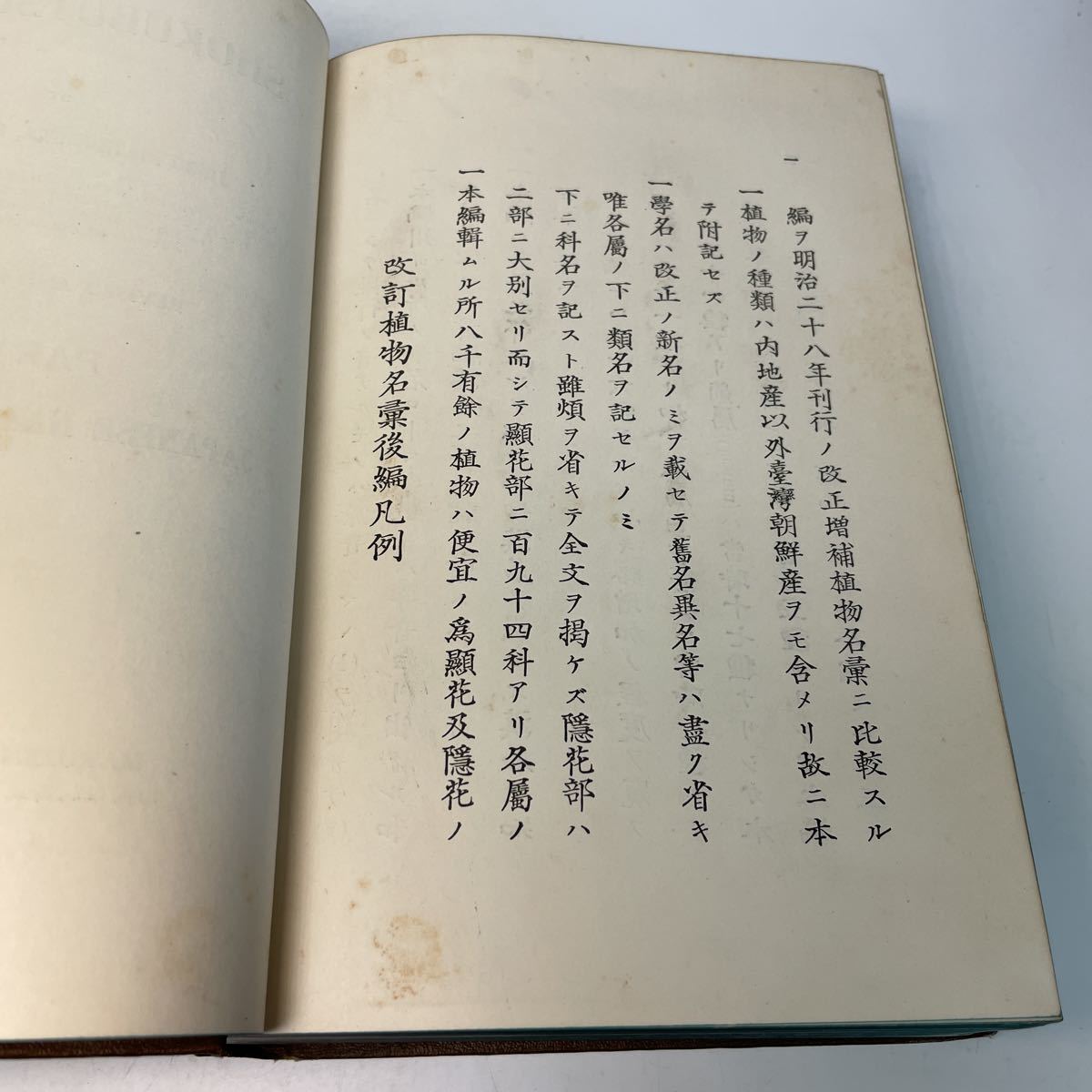 2406 H16 古書 改訂 植物名彙 後編 和名之部 松村任三 大正11年 英語 植物 名前 学名 事典 辞典 英訳 生物学 売買されたオークション情報 Yahooの商品情報をアーカイブ公開 オークファン Aucfan Com