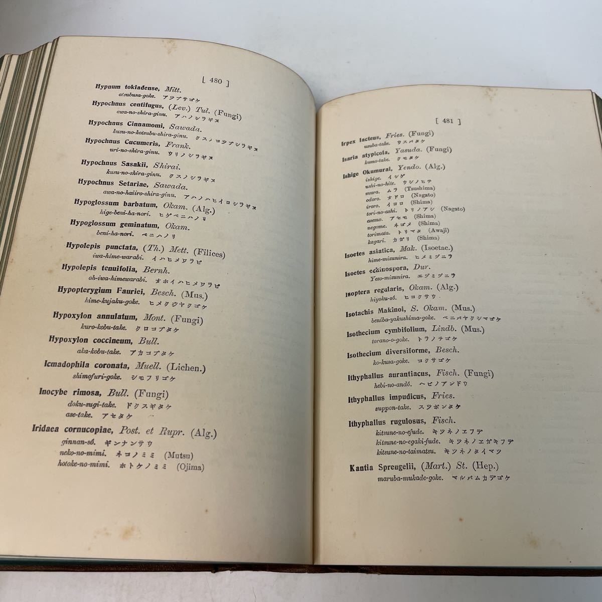 2406 H16 古書 改訂 植物名彙 後編 和名之部 松村任三 大正11年 英語 植物 名前 学名 事典 辞典 英訳 生物学 売買されたオークション情報 Yahooの商品情報をアーカイブ公開 オークファン Aucfan Com