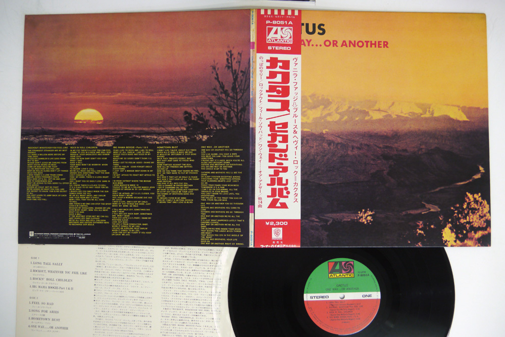 One Another Cactus - – WayOr 0 Way Japan Atlantic Wayor Age Rock P