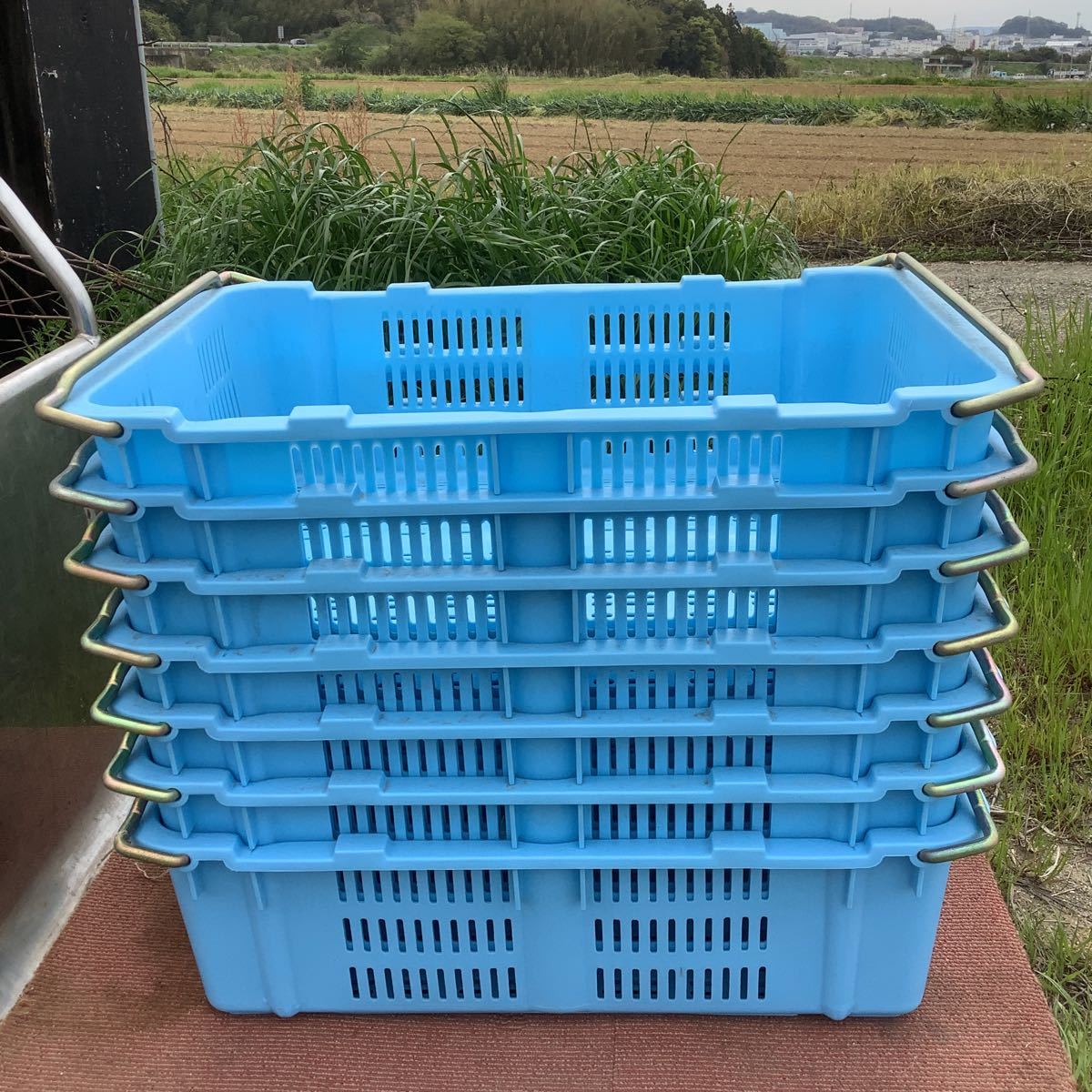 人気セール，100%新品 福岡 プラスケット No.480 リスのプラスチック 金具付き コンテナボックス プラスチックカゴ 7個セット 在庫あり(その他)｜売買されたオークション情報、yahooの商品情報をアーカイブ公開 - オ その他