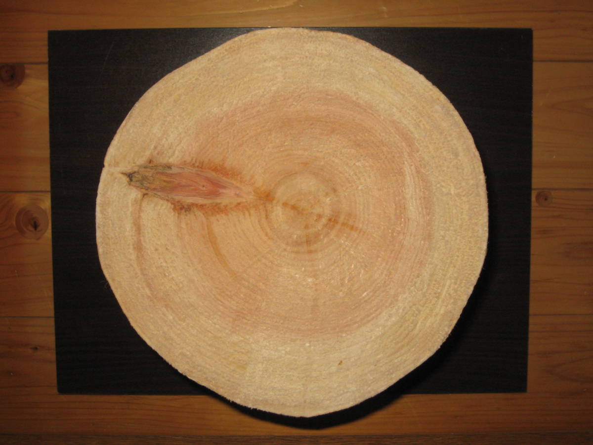 ひのき 直径22 23 高さ25cm 丸太椅子 飾り台 香りひのき インテリア ディスプレイ 薪割り台 作業台 素材木材 無垢材 D78 その他 売買されたオークション情報 Yahooの商品情報をアーカイブ公開 オークファン Aucfan Com
