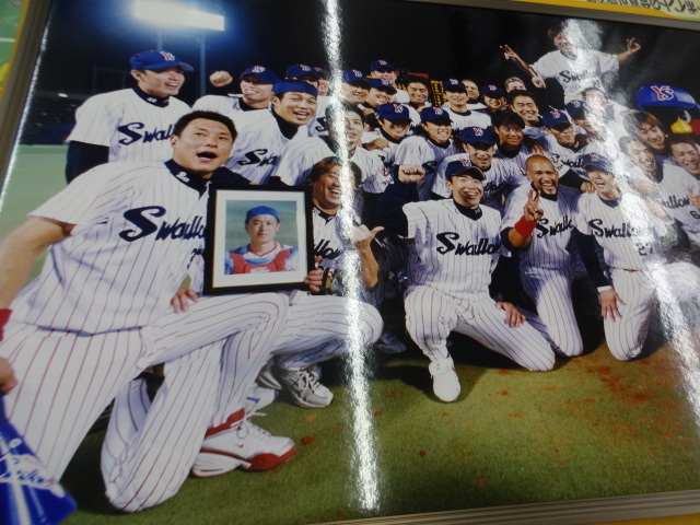 2015年ヤクルトスワローズ 打者3部門アートパネル つまらなく