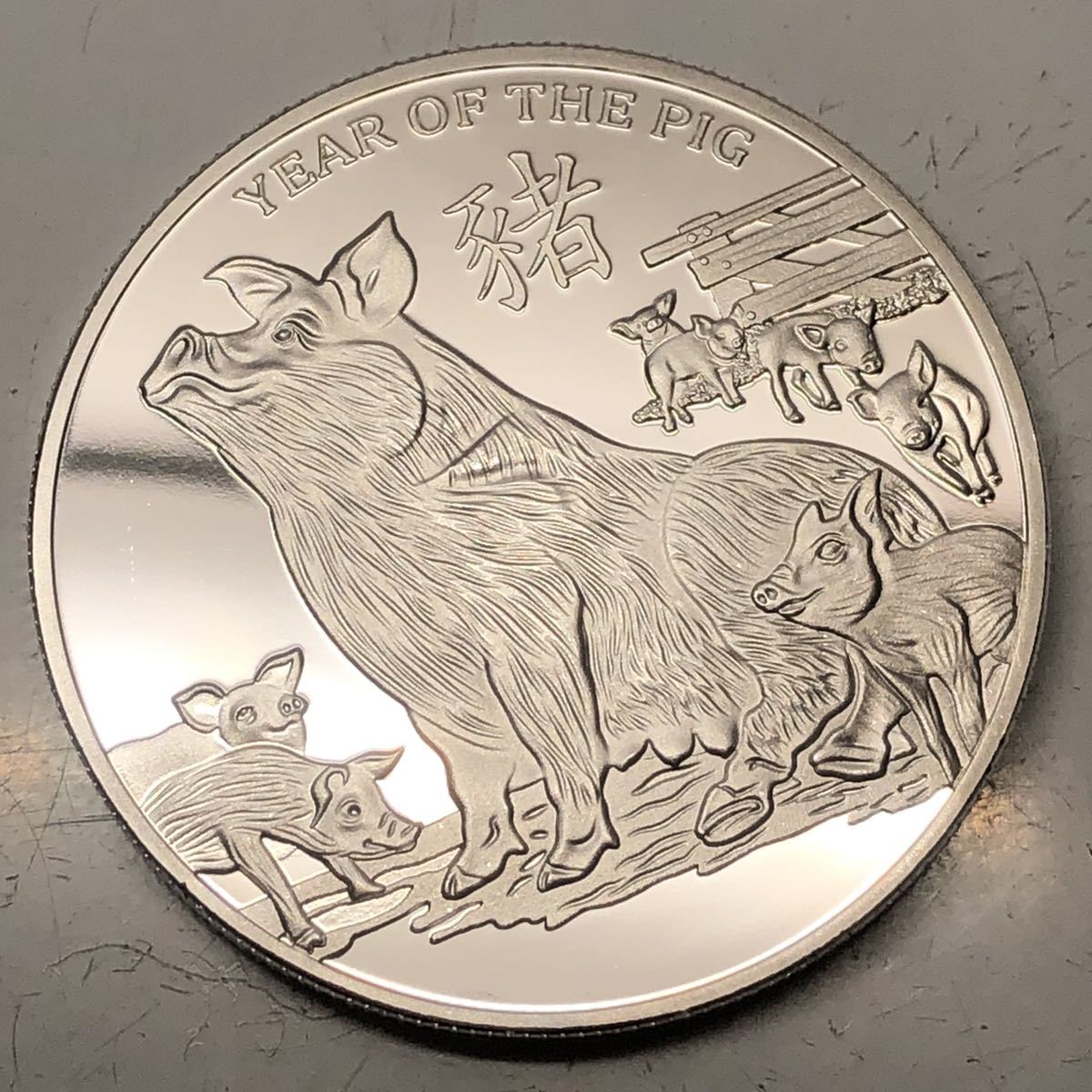 一円スタート！ニウエ硬貨 2019年 エリザベス女王 亥年記念硬貨 大型