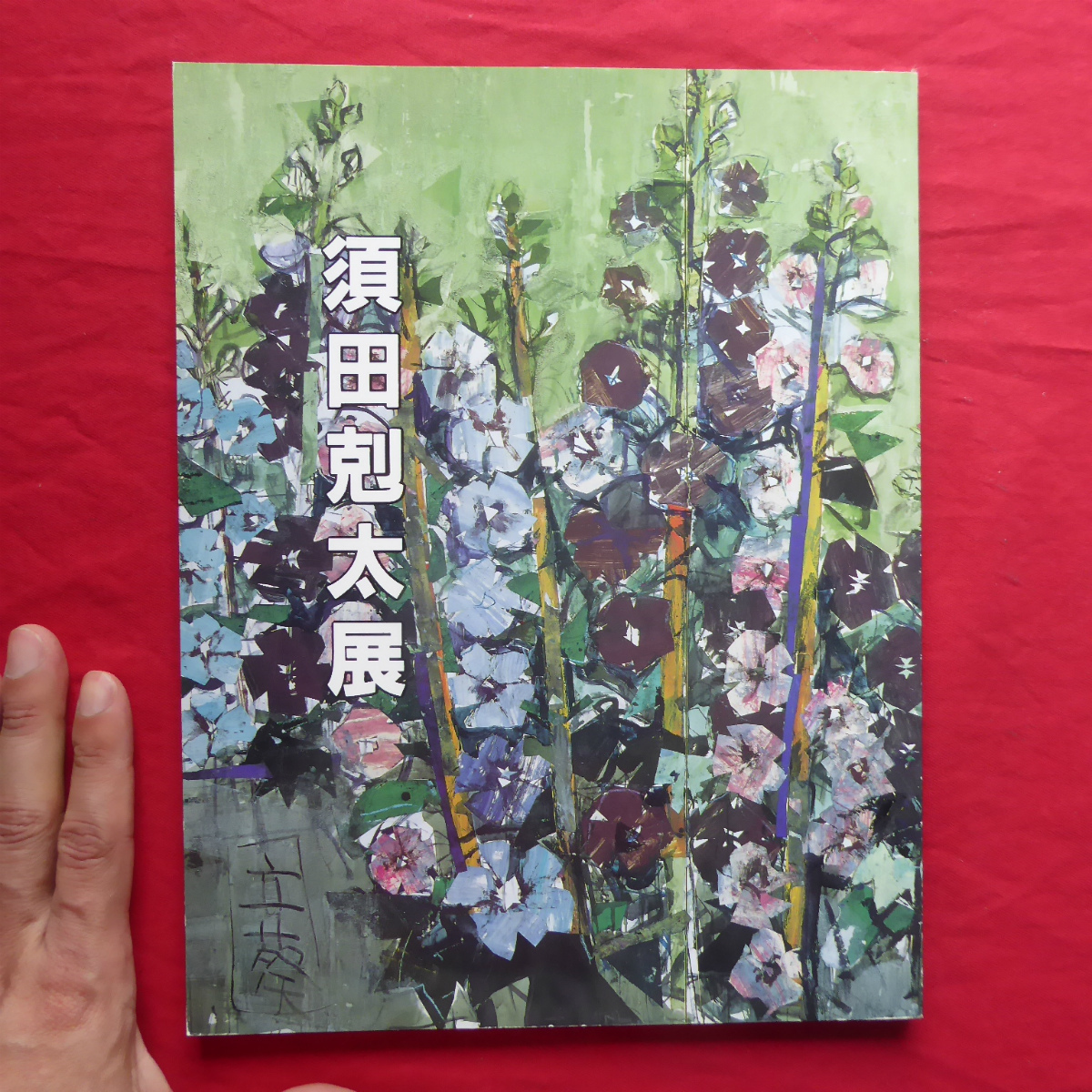 h1図録【須田剋太展/平成6年・丸栄スカイルほか】木村定三:突然変異の