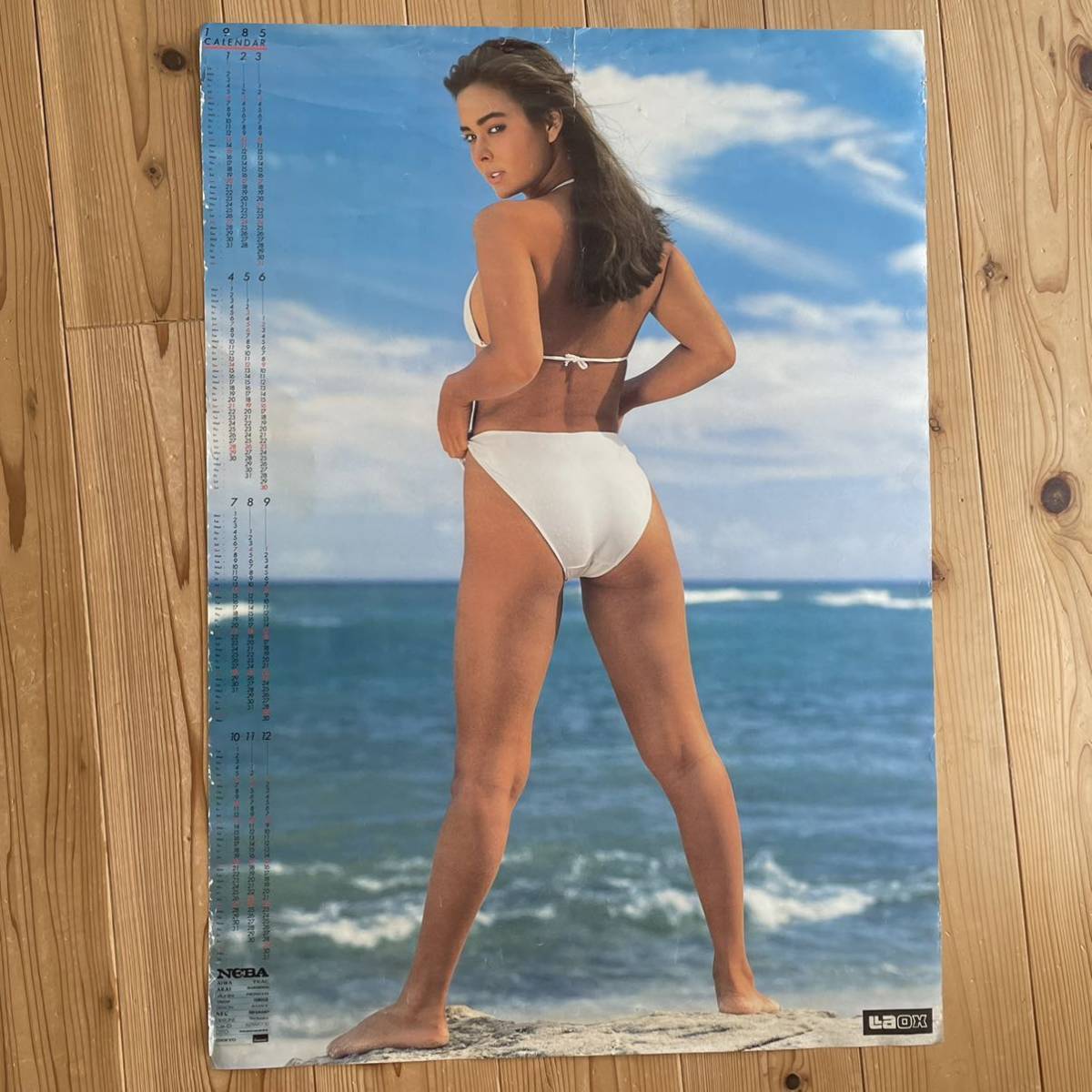 珍しい当時物】水着ポスター/キャティ/KATTY/1985年カレンダー/NEBA  