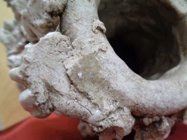 骨董 瀬戸焼 大日窯 星合信令作 獅子像 工芸品 縁起物 置物 中古品