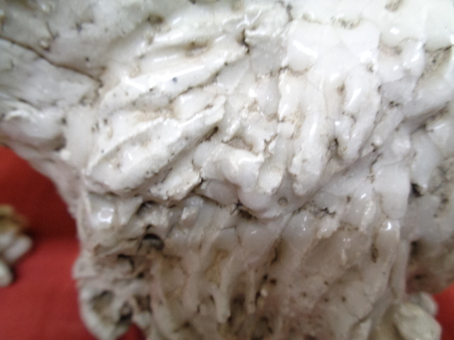 骨董 瀬戸焼 大日窯 星合信令作 獅子像 工芸品 縁起物 置物 中古品