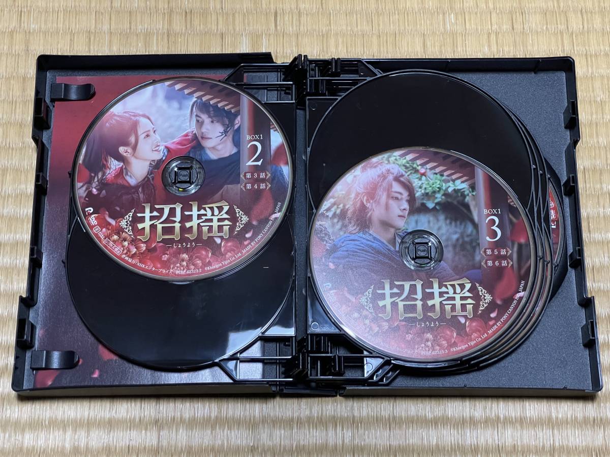 招揺 しょうよう全28巻DVD中国ドラマ華流シュー・カイバイ・ルー