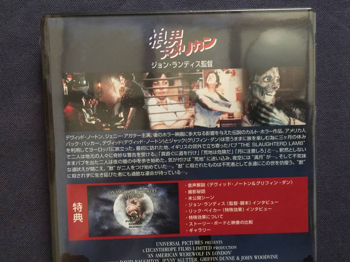 セル Dvd 狼男アメリカン デヴィット ノートン ジェニー アガター 獣 に殺されずに生きのびた者にも過酷な運命が待っ アドベンチャー一般 売買されたオークション情報 Yahooの商品情報をアーカイブ公開 オークファン Aucfan Com