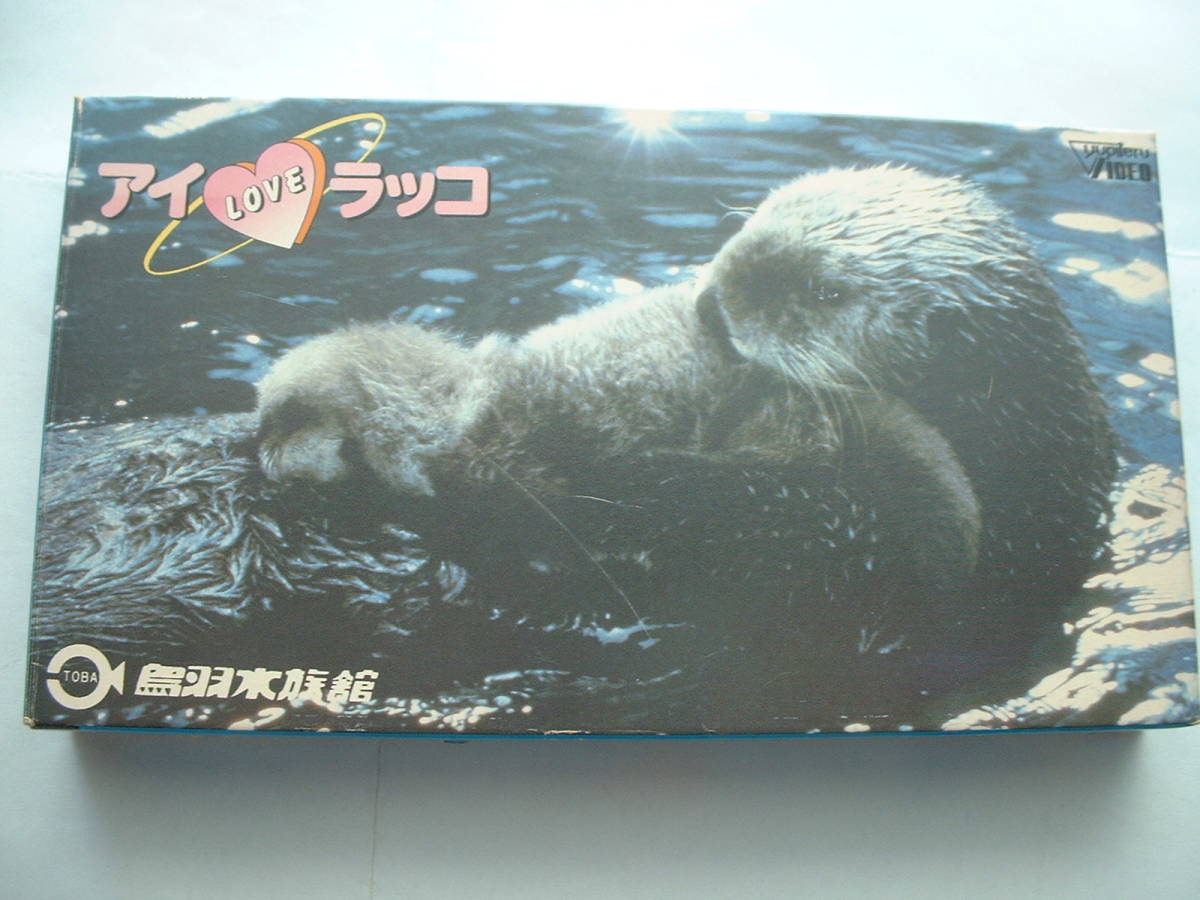 アイ ラブ ラッコ 鳥羽水族館 ビデオテープ 売買されたオークション情報 Yahooの商品情報をアーカイブ公開 オークファン Aucfan Com