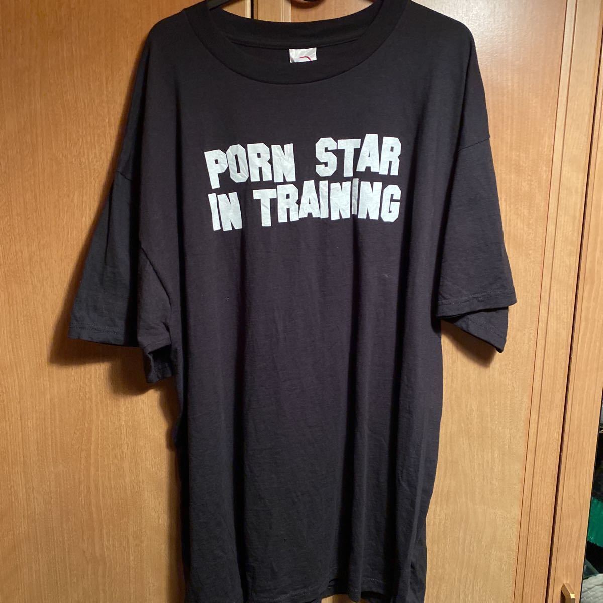 90s〜00s XLサイズ USA製生地 DELTA製 Porn Star In Tranining ポルノ 
