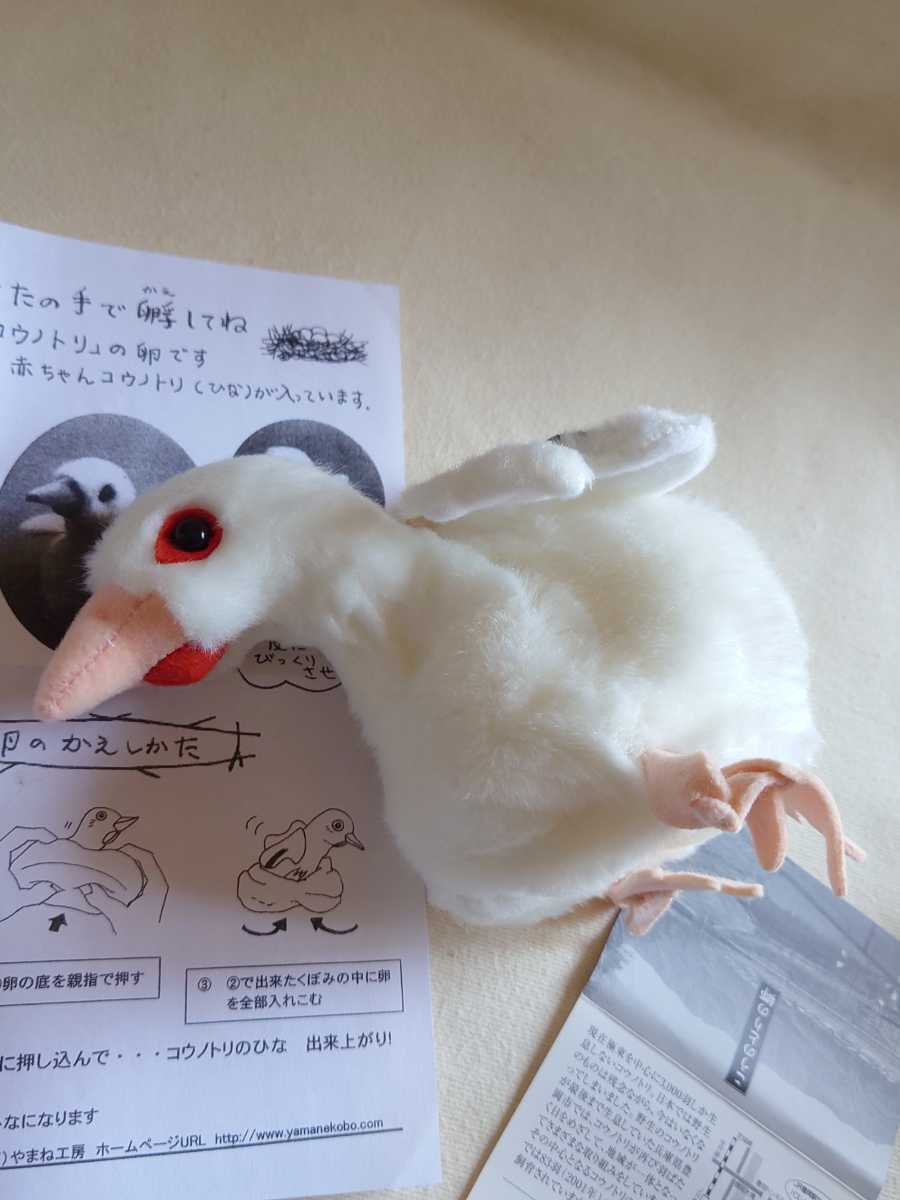 未使用 やまね工房 こうのとりの郷 コウノトリの卵 限定販売 ヒナ